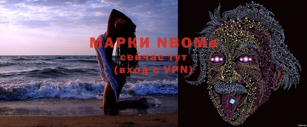 гашик Зеленокумск