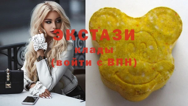 гашик Ельня