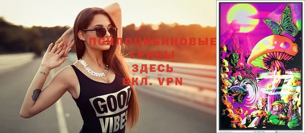 эйфоретик Арсеньев
