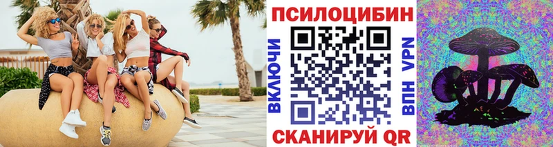 Псилоцибиновые грибы мицелий Приволжск