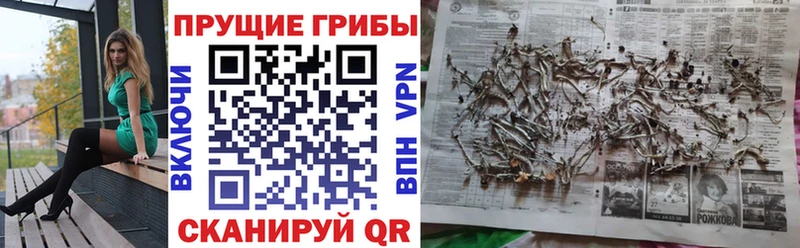 MEGA как войти  Приволжск  Галлюциногенные грибы Psilocybine cubensis 